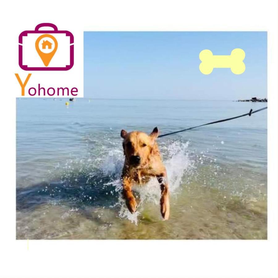 Zara D'Amare A Pesaro 10 Metri Dalla Spiaggia By Yohome Εξωτερικό φωτογραφία